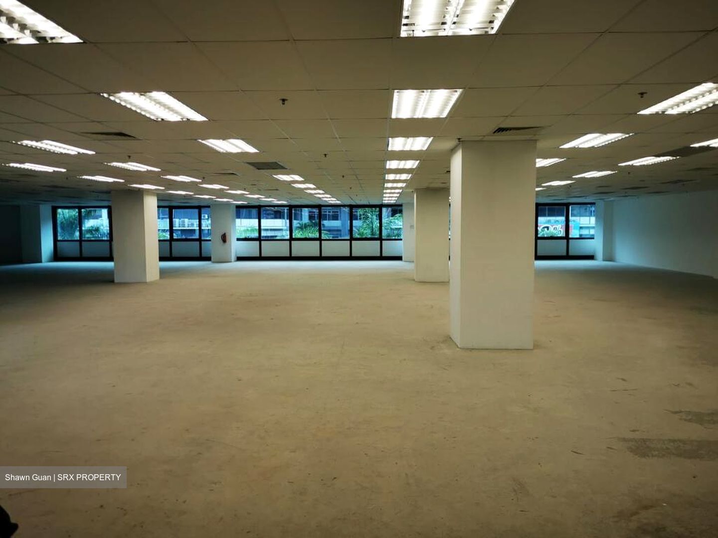Bendemeer Road (D12), Office #570942431
